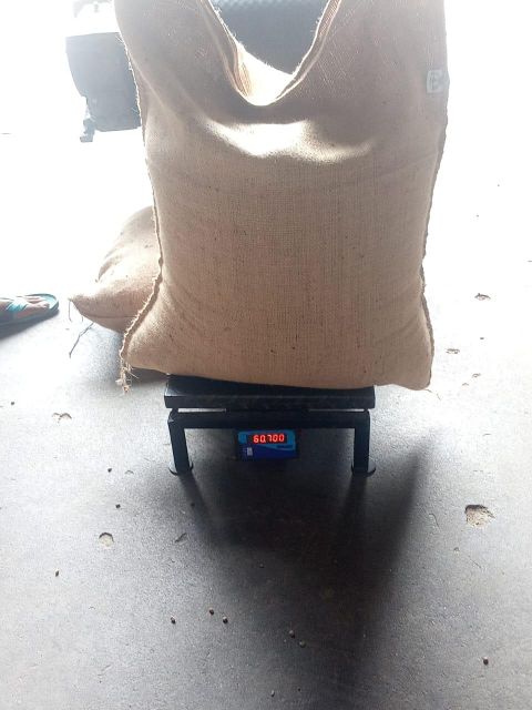 ROBUSTA CHERRY AA Scr 18 Origin India Packing 60 Kgs (net) Place of Origin INDIA Max. Moisture (%) 12.75% Packaging Details 60 KGS NET IN NEW JUTE BAG - Image 4